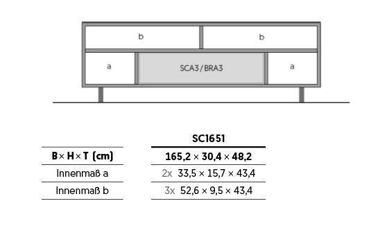 SC1651-SNG-SAT mit Soundsystem SCA3