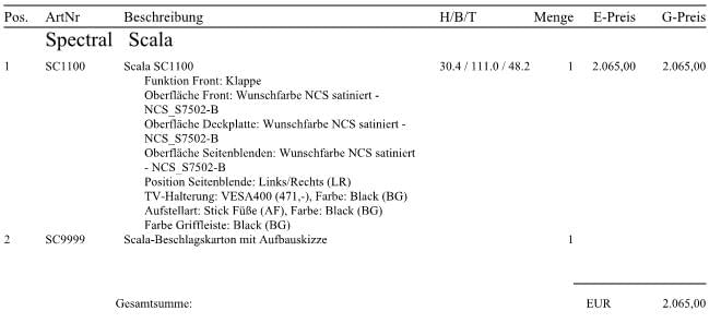 SC1100-NCS Lowboard mit Stauraum