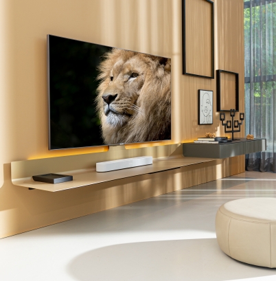 TV-Wandmöbel Spectral Air Champagne